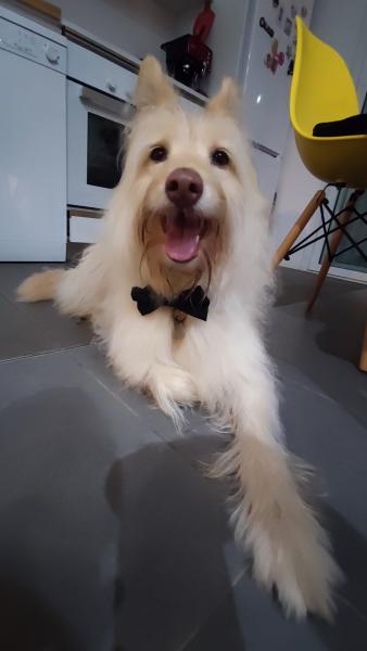 Foto del alojamiento