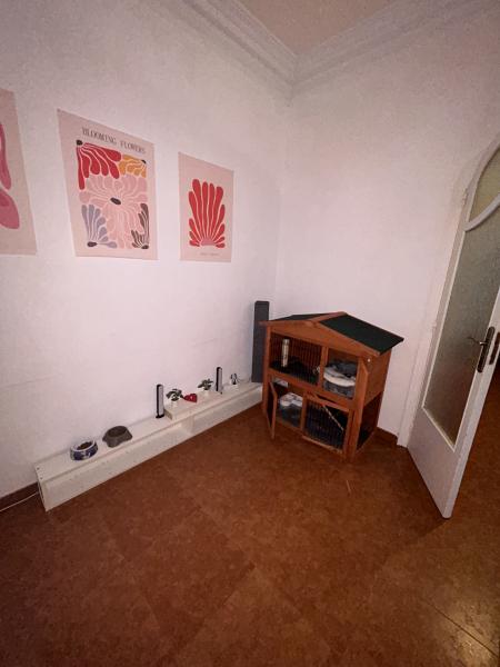 Foto del alojamiento
