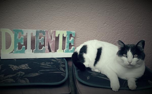 Foto del alojamiento