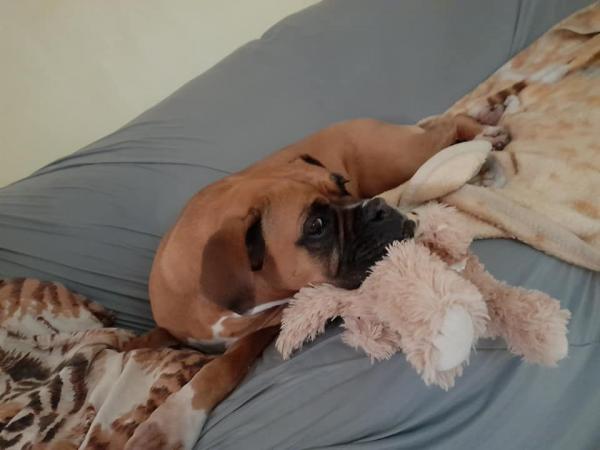 Foto del alojamiento