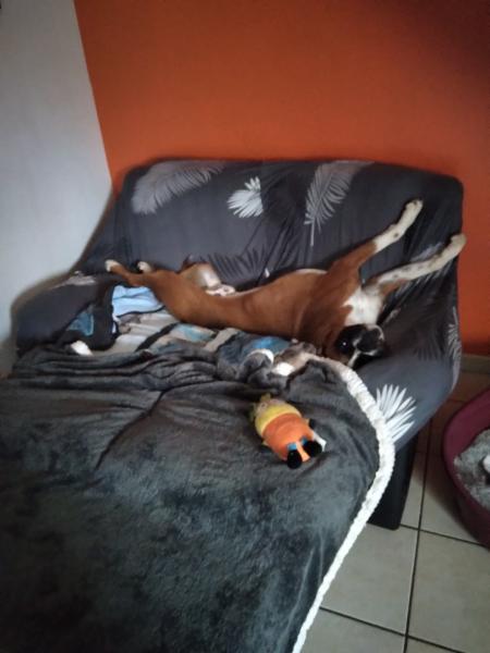 Foto del alojamiento