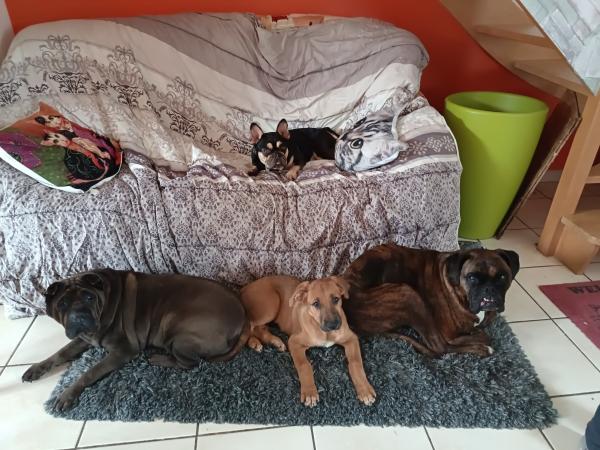 Foto del alojamiento