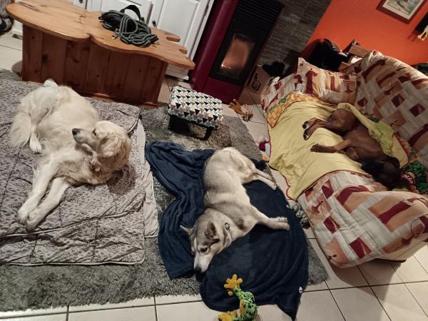 Foto del alojamiento