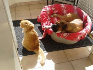 Foto del alojamiento