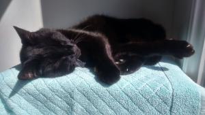 Foto del alojamiento