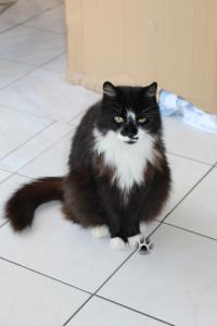 Foto del alojamiento
