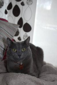 Foto del alojamiento