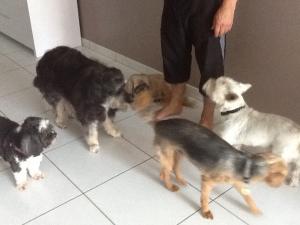 Foto del alojamiento
