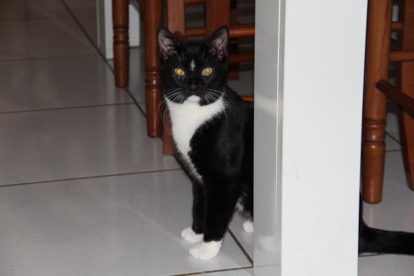 Foto del alojamiento
