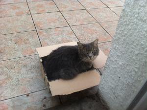 Foto del alojamiento