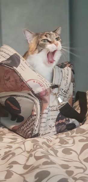 Foto del alojamiento
