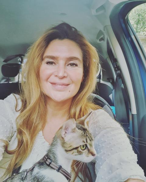 Foto del alojamiento