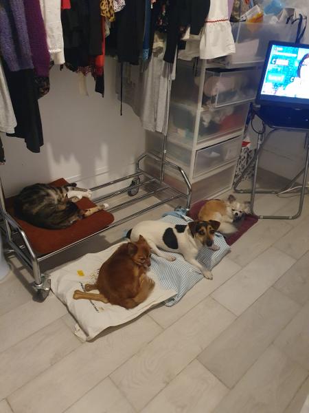 Foto del alojamiento