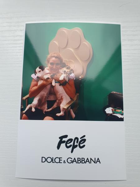 Foto del alojamiento
