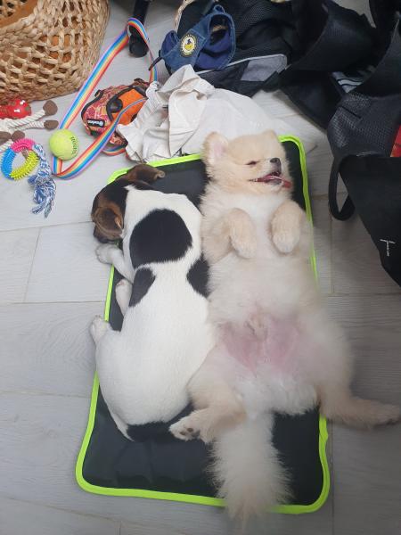 Foto del alojamiento