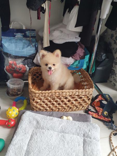 Foto del alojamiento