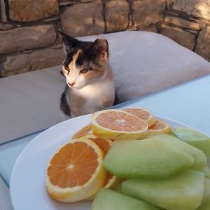 Foto del alojamiento