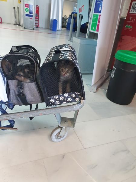 Foto del alojamiento
