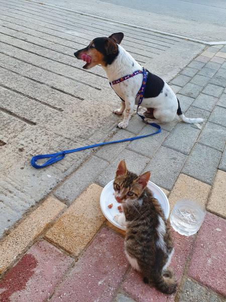 Foto del alojamiento