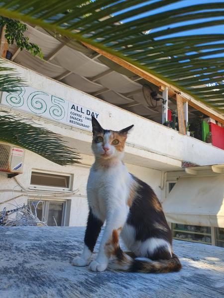 Foto del alojamiento