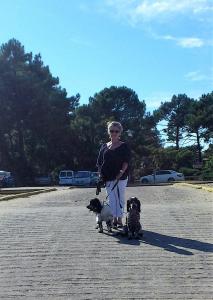 Foto del alojamiento