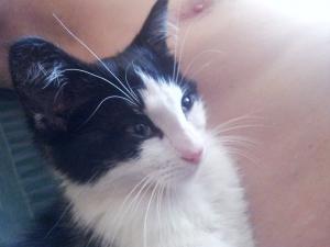 Foto del alojamiento