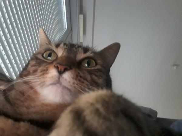 Foto del alojamiento