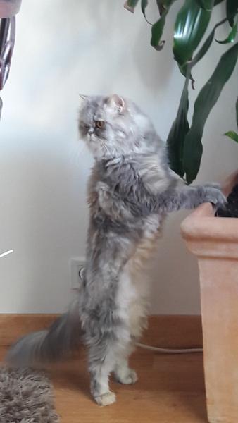 Foto del alojamiento