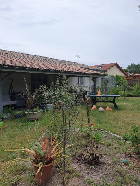 Foto del alojamiento