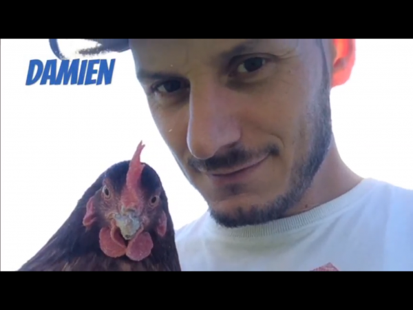 Foto del alojamiento