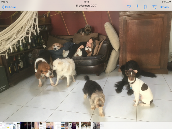 Foto del alojamiento