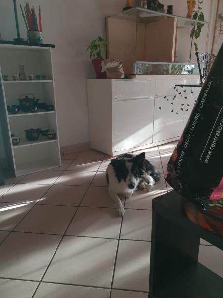 Foto del alojamiento