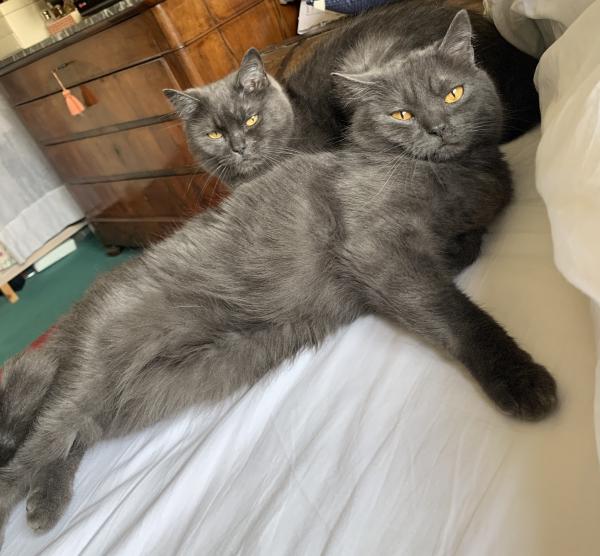 Foto del alojamiento