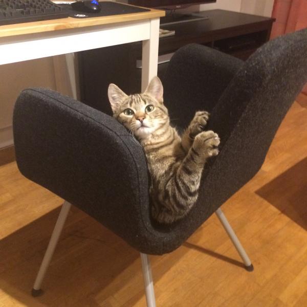 Foto del alojamiento