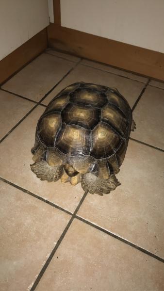 Foto del alojamiento