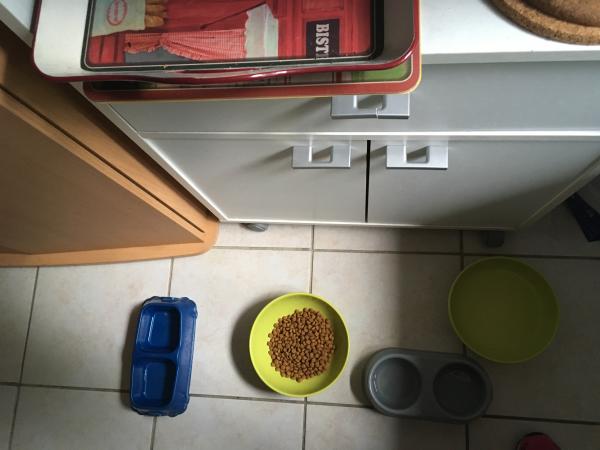 Foto del alojamiento
