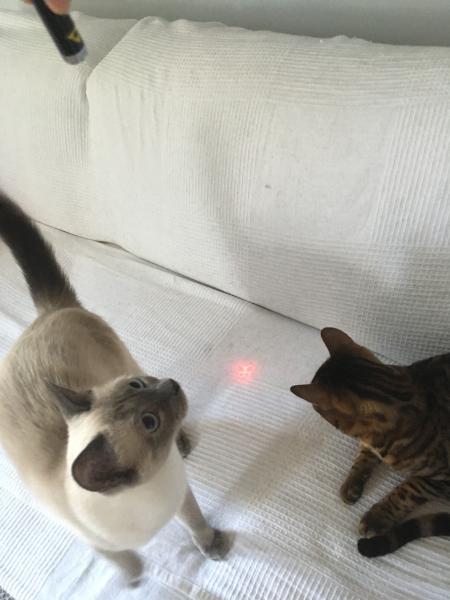 Foto del alojamiento