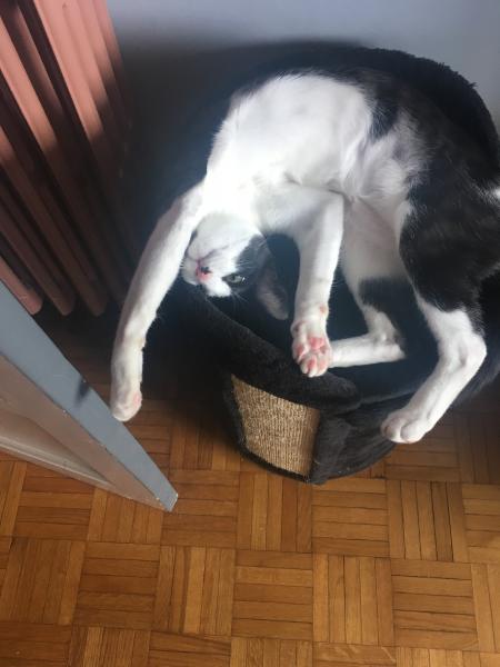 Foto del alojamiento