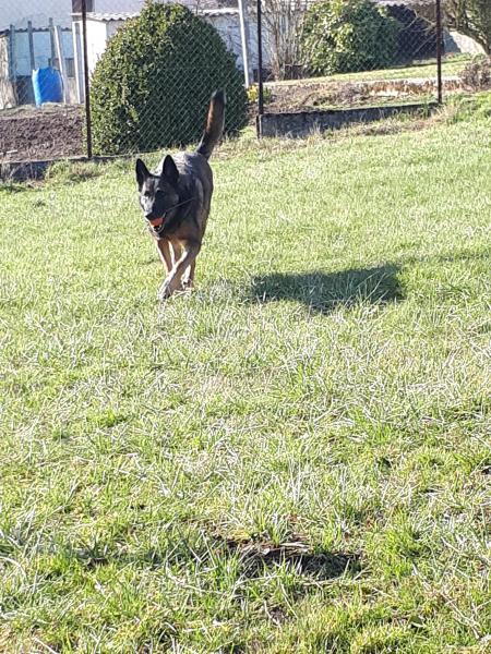 Foto del alojamiento