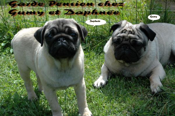 Foto del alojamiento