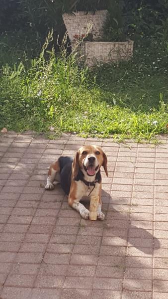 Foto del alojamiento