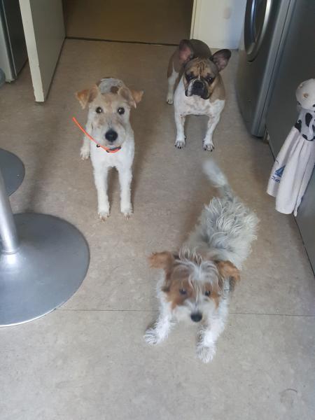 Foto del alojamiento
