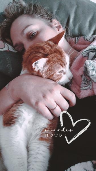 Foto del alojamiento