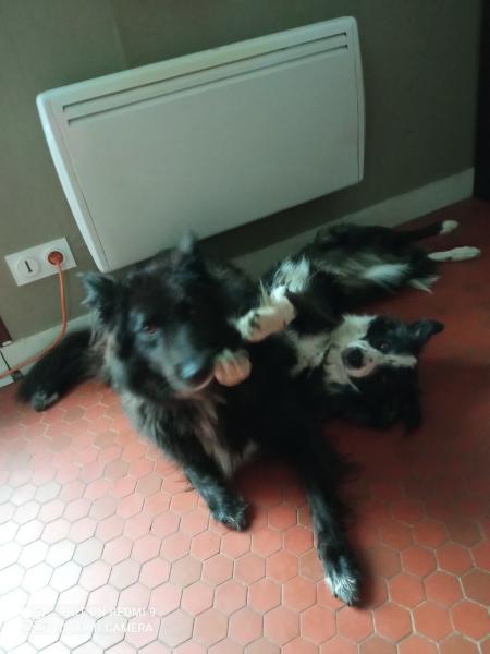 Foto del alojamiento