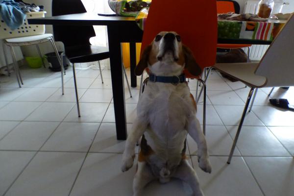 Foto del alojamiento