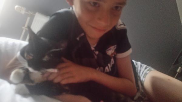 Foto del alojamiento