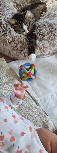 Foto del alojamiento