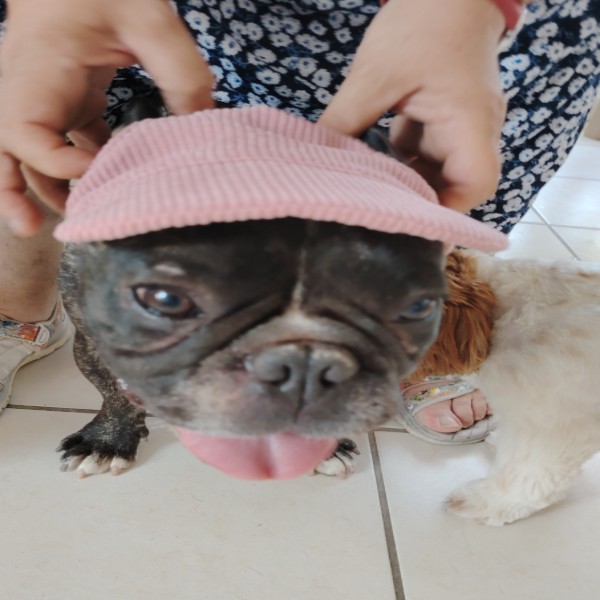 Foto del alojamiento
