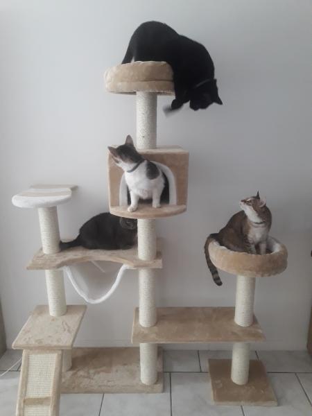 Foto del alojamiento