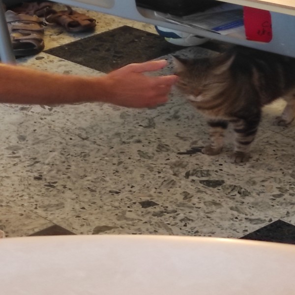 Foto del alojamiento